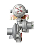 Regulator med SAV 29 mbar, 8 kg/h, automatisk